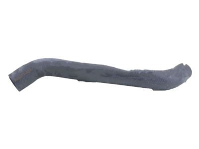 هوز راديتر سفلي رقم 2 وكالة لكزس | Lower Radiator Hose | 16572-38130